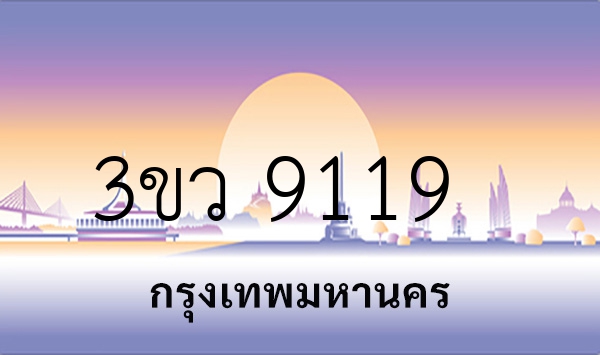 3ขว 9119